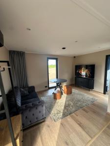 TV a/nebo společenská místnost v ubytování Suve vacation home