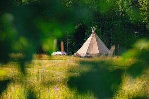 Příroda nedaleko luxury tent