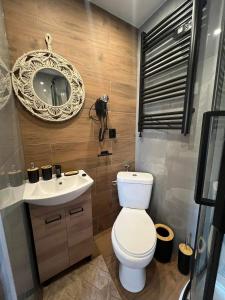 e bagno con servizi igienici, specchio e lavandino. di Zielony Raj - Bieszczady a Wańkowa Altre 18 foto