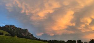 a cloudy sky above a grassy hill with trees at Erd´s Hoimatle in Jungholz