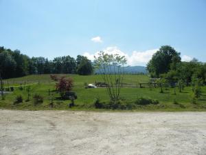 un champ d'herbe avec des arbres et une clôture dans l'établissement Agriturismo Al Bachero, à Belluno