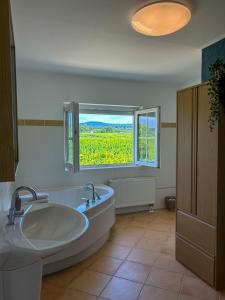 a bathroom with a tub and a large window at Villa am Weinberg mit Garten großzügig und exklusiv in Geisenheim