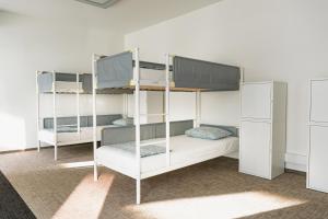 a room with three bunk beds in it at Mild Elephants Hostel in Bratislava +16 photos