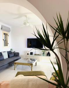 TV a/nebo společenská místnost v ubytování Olive Apartment
