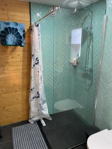 Koupelna v ubytování The blue house