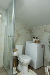 Un baño con inodoro y ducha de cristal. en my sofita luxury stay, en Édessa