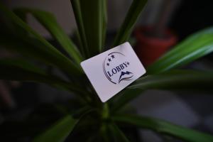 Certifikát, hodnocení, plakát nebo jiný dokument vystavený v ubytování Hotel LOBBY PLUS
