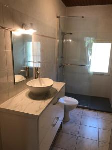 a bathroom with a sink and a toilet at Grande maison de charme en pierre in Saint-Médard-de-Mussidan