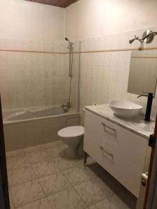 a bathroom with a toilet and a sink and a tub at Grande maison de charme en pierre in Saint-Médard-de-Mussidan +10 photos