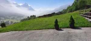 a train on a hill with two trees on the side at Casa Falco in Cortina dʼAmpezzo
