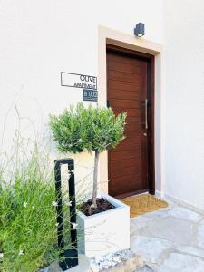 Fotografie z fotogalerie ubytování Olive Apartment v destinaci Tala