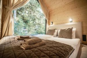 卡尔帕奇Sosnowy Szept的一间带床的卧室，配有大窗户