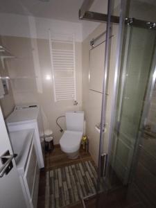 Phòng tắm tại Apartmán Hurbanova