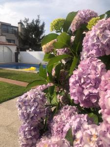 a bush of purple flowers next to a pool at Cova dos Frei in Vigo