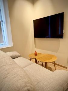 Μια τηλεόραση ή/και κέντρο ψυχαγωγίας στο Bright & Cozy Studio - Central Location