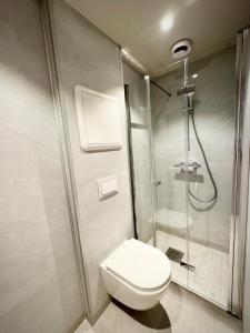 a bathroom with a toilet and a shower at Bright & Cozy Studio - Central Location in Oslo +3 photos