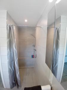 a shower with a glass door in a bathroom at Ferienhaus Jannik in Hüde +19 photos
