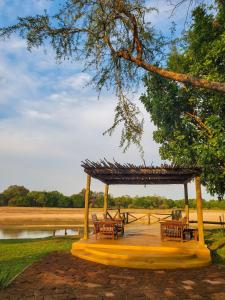 Fotografie z fotogalerie ubytování Thornicroft Lodge - South Luangwa v Mpandě