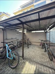 Montar en bicicleta en Pousada Casarão Schmidt o alrededores
