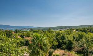 a view of a forest with a palm tree at Apartment in Cizici - Insel Krk 12512 in Čižići +13 photos