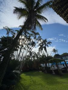 a palm tree towering over a yard with grass at Pousada Point Beach - Acácias in Guarujá