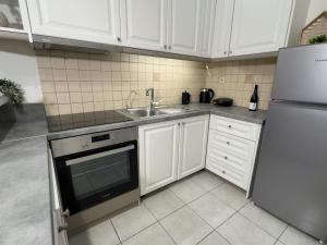 A cozinha ou kitchenette de Nikolet apt 2