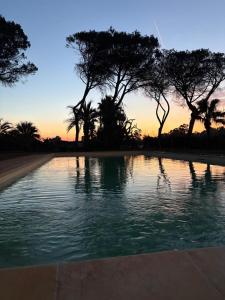 a pool of water with trees and a sunset at Peacock apartments Latina in Latina