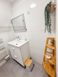 a bathroom with a sink and a mirror at Appartement rénové, lumineux au centre de Vic in Vic-sur-Cère