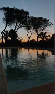 a body of water with trees in the background at Peacock apartments Latina in Latina