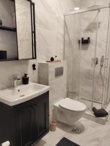 a bathroom with a shower and a toilet and a sink at Apartman Lola Palić I in Palić