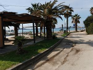 a street with palm trees next to a beach at Apartman Jadranka in Zaboric