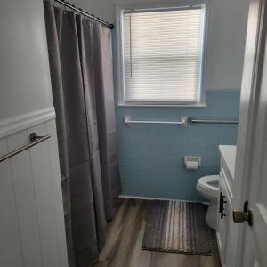 Un baño con ducha, inodoro y ventana. en Tillery Trail Retreat Mount Gilead, en Mount Gilead