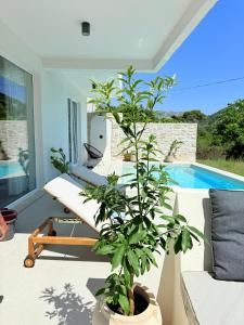 a plant in a pot sitting on a patio with a pool at Pool 4 Leisure Dubrovnik in Dubrovnik