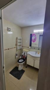 ein Badezimmer mit Toilette und Waschbecken in der Unterkunft Garsoniera spațioasă in Constanţa + 1 Foto