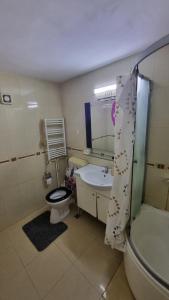 ein Badezimmer mit Toilette, Waschbecken und Dusche in der Unterkunft Garsoniera spațioasă in Constanţa