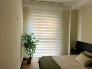 ein Schlafzimmer mit einem Fenster mit einer Pflanze davor in der Unterkunft Recién reformado! Oasis de lujo con vistas panoramicas in Águilas