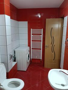 Ένα μπάνιο στο Gara mare 2 camere