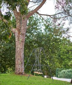 a swing set in front of a tree at Sky House by Everkind in Viana do Castelo +33 photos
