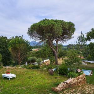 a park with a tree and a table and a bench at Sky House by Everkind in Viana do Castelo