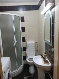 Un baño con ducha, inodoro y lavabo. en Spital 1 cameră living, en Târgu Mureș