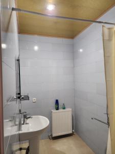 a bathroom with a sink and a shower at Sagamo in Sagamo +12 photos