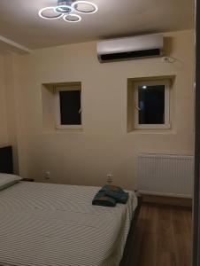a bedroom with a bed and two windows at Spital 1 cameră studio in Târgu-Mureş +4 photos