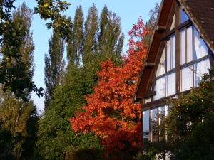 a tree with red leaves next to a house at La Maison du Verger in Acquigny
