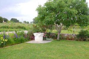ロパールにあるApartments in Lopar - Insel Rab 17729の芝生に大きなトイレがある庭 +3枚の写真