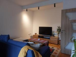 a living room with a blue couch and a tv at Wild Green in Sarajevo