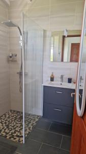 ein Badezimmer mit Dusche und Waschbecken in der Unterkunft Les douceurs de la Baie in Terre de Bas
