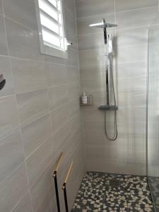 a bathroom with a shower with a glass door at Les douceurs de la Baie Terre de Bas in Terre de Bas