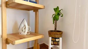 Una planta colocada en un estante de madera junto a una planta. en Posada San Juan, en Cancún