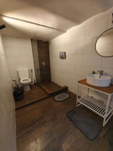 une salle de bain avec un lavabo et des toilettes dans l'établissement The Obelisk Corner 3, à Buenos Aires