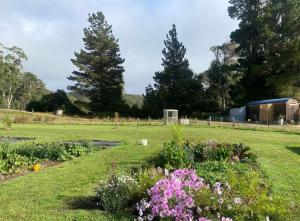 Κήπος έξω από το Holly Tree Hut Eco Farmstay